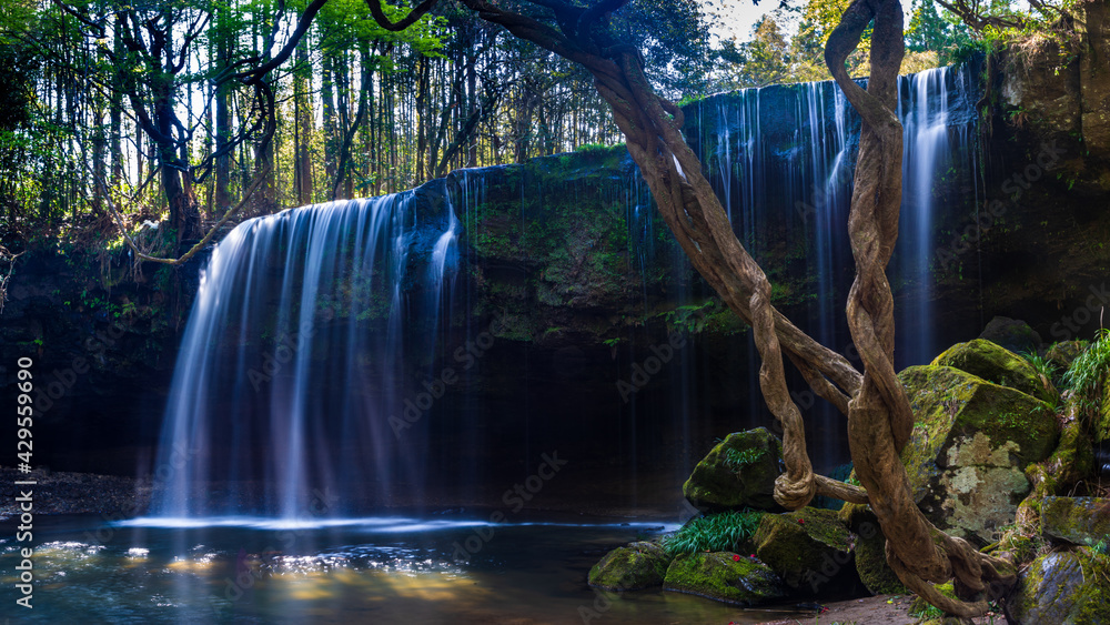 鍋ヶ滝_幅が広く水のカーテンのような滝、滝の裏に空間ができており滝を裏から見ることができる