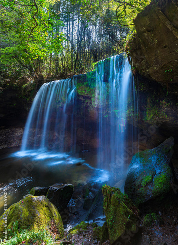 Fototapeta Naklejka Na Ścianę i Meble -  鍋ヶ滝_幅が広く水のカーテンのような滝、滝の裏に空間ができており滝を裏から見ることができる
