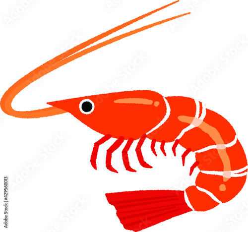 エビのイラスト