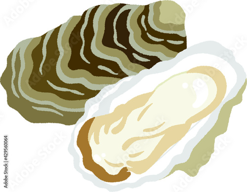 カキのイラスト