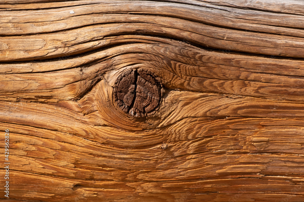 Texture of ancient cracked wooden log with a bough. Closeup natural background. Texture of ancient cracked wooden log with a bough. Closeup natural background.