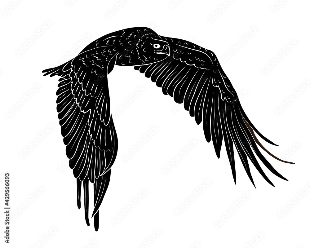 Obraz premium Black silhouette Cartoon flying wild eagle in isolate on a white background. Vector illustration.