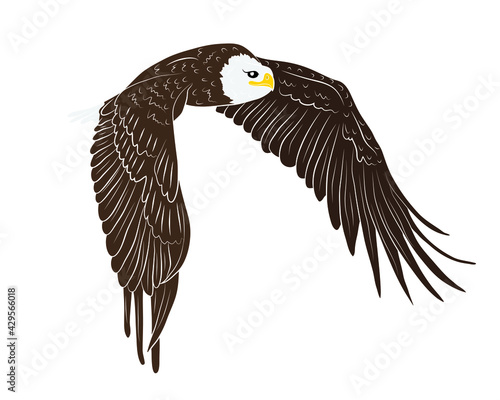 Cartoon flying wild eagle in isolate on a white background. Vector illustration.