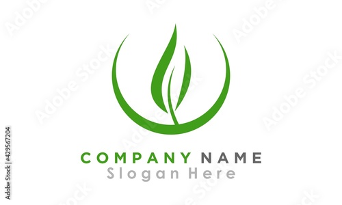 brand logo nature leaf