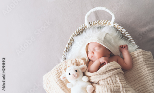 Sleeping newborn baby in basket wrapped in blanket in white fur background. Portrait of little child one week old with soft toys. photo