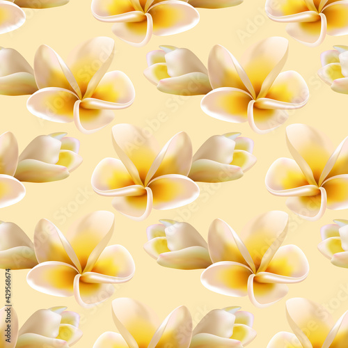 Plumeria or Frangipani Flowers Summer Dress Vector Seamless Pattern.