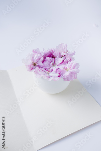 pink flowers in a white vase