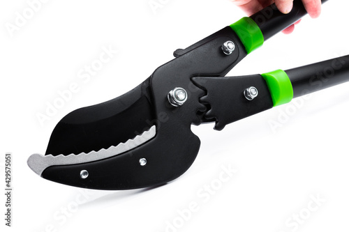 Lopper for pruning branches on trees gardening tools on white background.