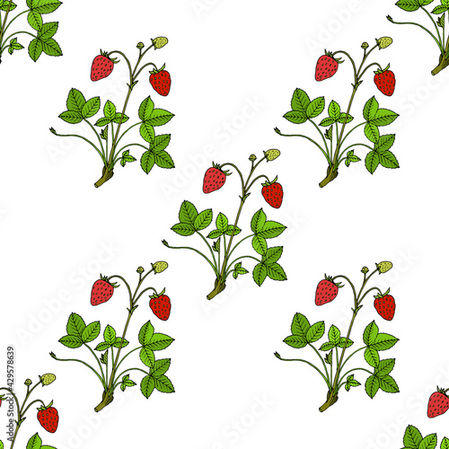 Seamless pattern with garden strawberry