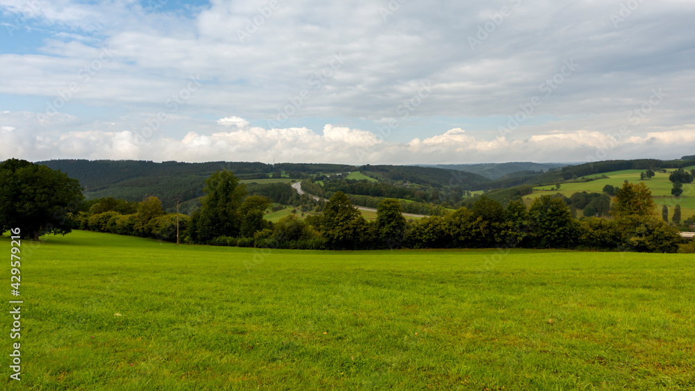 Fresh grass on a meadow, next to a forest, in the Belgian Ardennes
