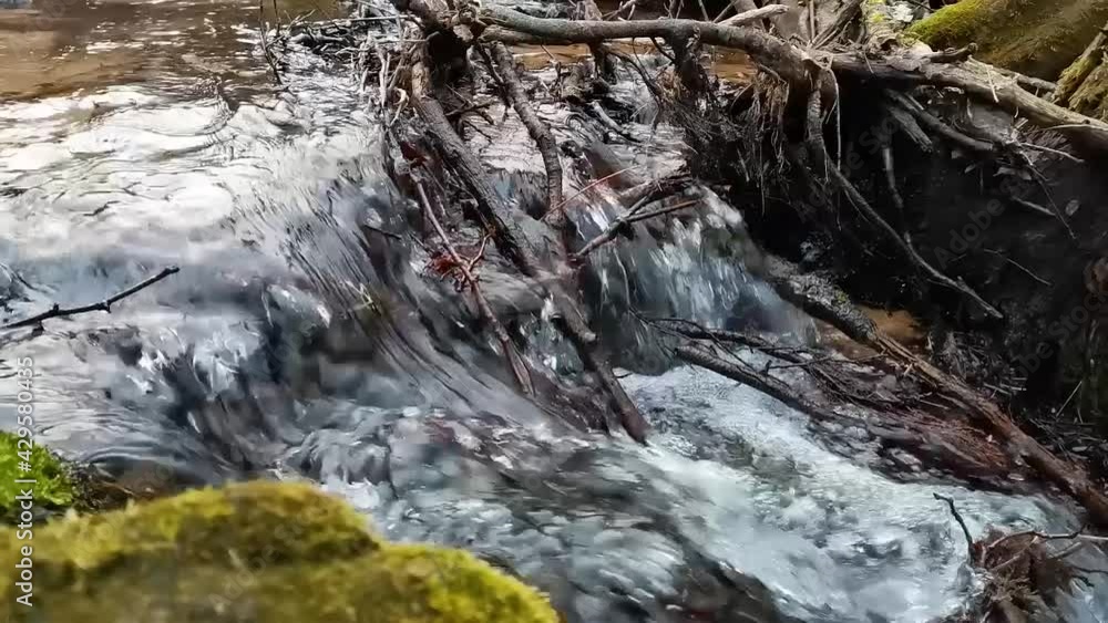 little stream running in a forest with moss hanging into the river. High quality HD footage little stream running in a forest with moss hanging into the river. High quality HD footage