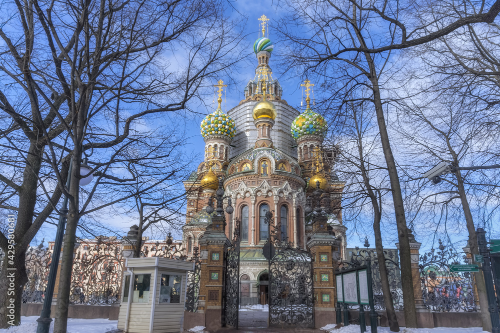 View of the ancient Church of the Savior on Spilled Blood in St. Petersburg in early spring. 9 multi-colored domes with gilding and enamel, elongated windows and many architectural decorations 