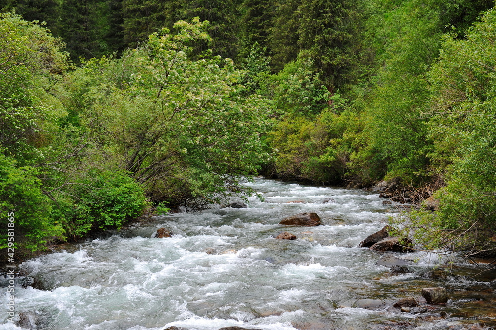 The Turgen River, which flows along the territory in a mountainous area near Almaty The Turgen River, which flows along the territory in a mountainous area near Almaty