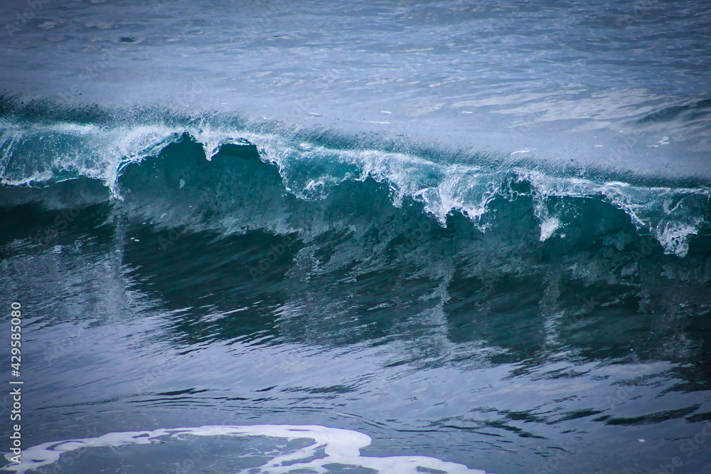 Fototapeta premium Ola rompiendo congelada