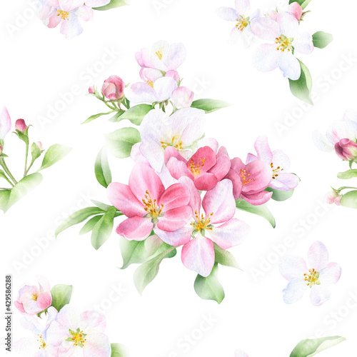 Picturesque seamless floral pattern of the apple blossom arrangements with flowers  leaves and buds  hand drawn in watercolor isolated on a white background. Watercolor floral pattern. 