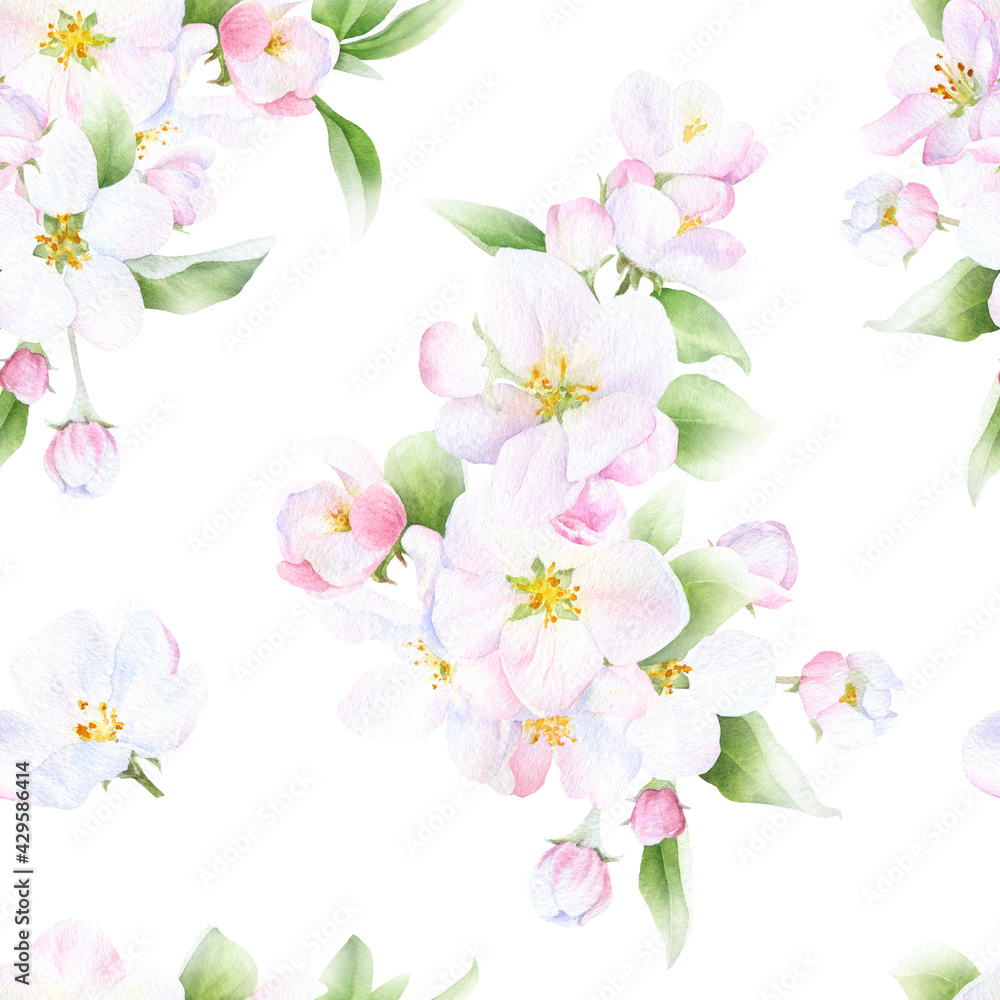 Obraz premium Picturesque seamless floral pattern of the apple blossom arrangements with flowers, leaves and buds hand drawn in watercolor isolated on a white background. Watercolor floral pattern. 
