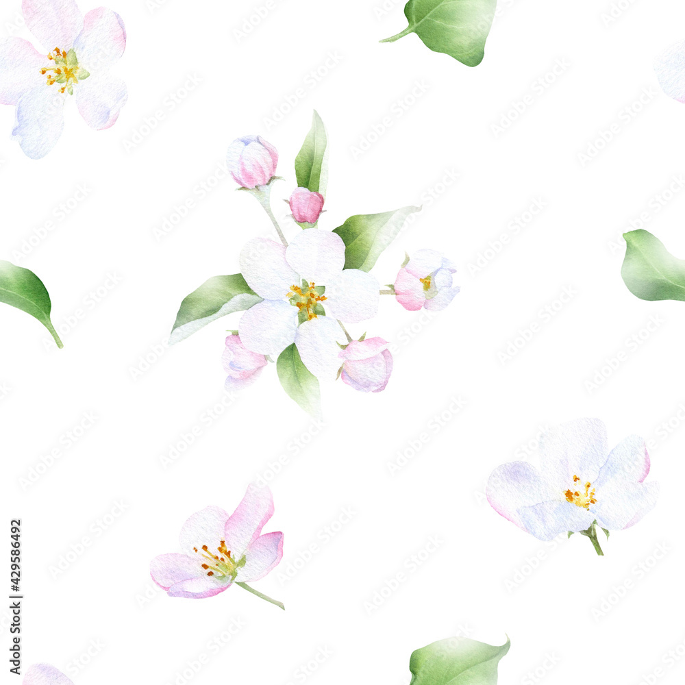 Picturesque seamless floral pattern of the apple  flowers, leaves and buds  hand drawn in watercolor isolated on a white background. Watercolor floral pattern.	