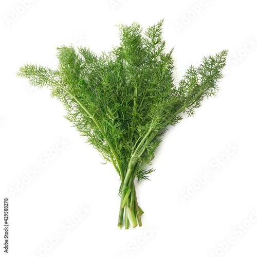 Fennel Leaves in Bunch, Isolated – Traditional Italian "Finocchietto Selvatico" (Foeniculum Vulgare) Bouquet without Rope, Sicilian Cuisine Ingredient on White Background – Detailed Close-Up Macro