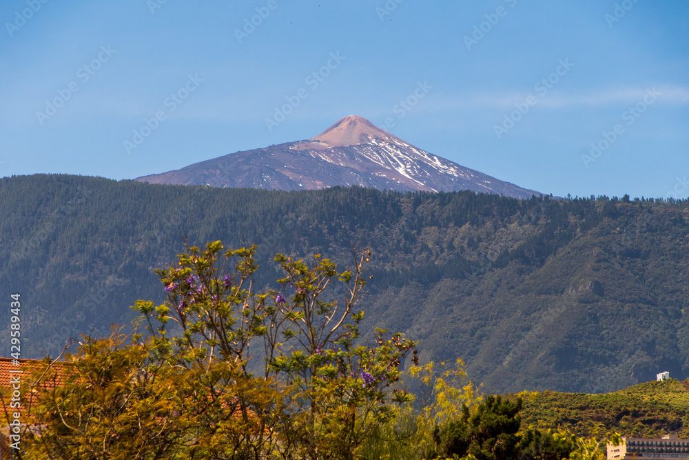 Vista de la cumbre del Teide desde el municipio de Puerto de la Cruz