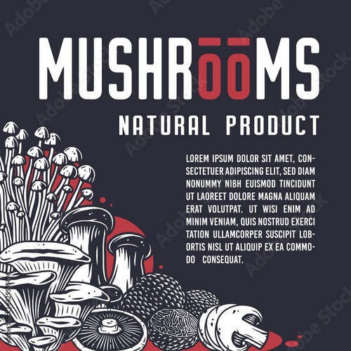 Mushroom picking of morel. Vegetarian fungus boletus or cremini collection for food. Organic nature mushrooms or fungi porcini for healthy nutrition
