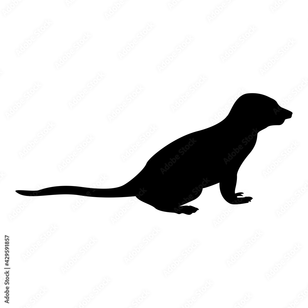 Silhouette meerkat in pose suricata suricatta black color vector illustration flat style simple image