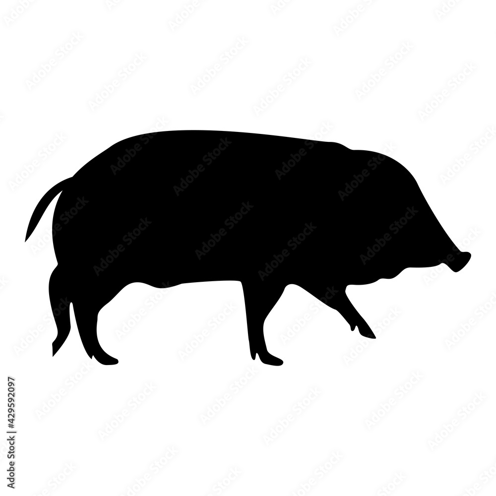 Silhouette wild boar hog wart swine suidae sus tusker scrofa black color vector illustration flat style simple image Silhouette wild boar hog wart swine suidae sus tusker scrofa black color vector illustration flat style simple image