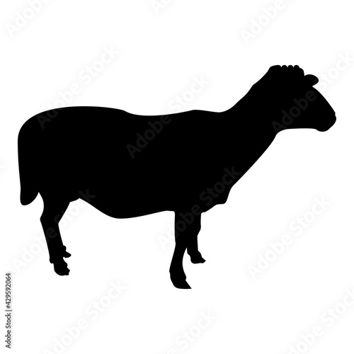 Silhouette sheep ewe domestic livestock farm animal cloven hoofed lamb cattle black color vector illustration flat style simple image