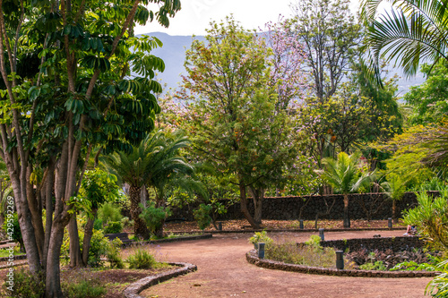 Parque Taoro en el municipio de Puerto de la Cruz