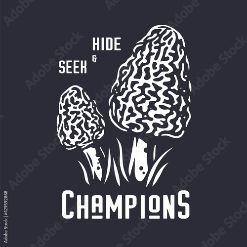 Mushroom picking of morel. Vegetarian fungus morels for food. Nature fungi for healthy nutrition. Edible mushrooms