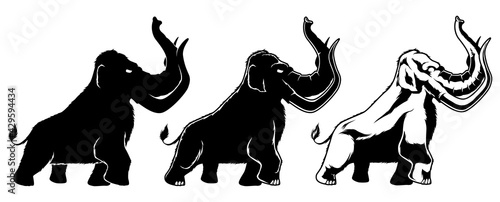 Mammoth on White