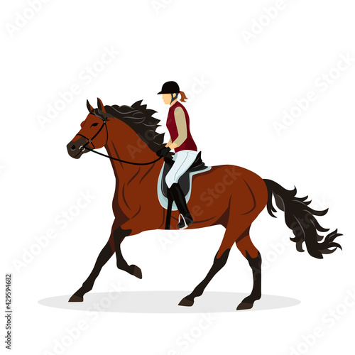 Woman on horse. Horse with rider. Jockey on horse. Horse riding. Equestrian Sport. Isolated Vector Illustration