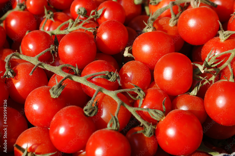 Pachino tomatoes are a specialty of sicilian food in Italy