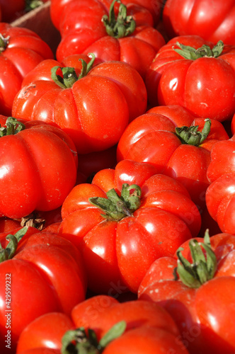 Pachino costoluto tomatoes are a specialty of sicilian food in Italy