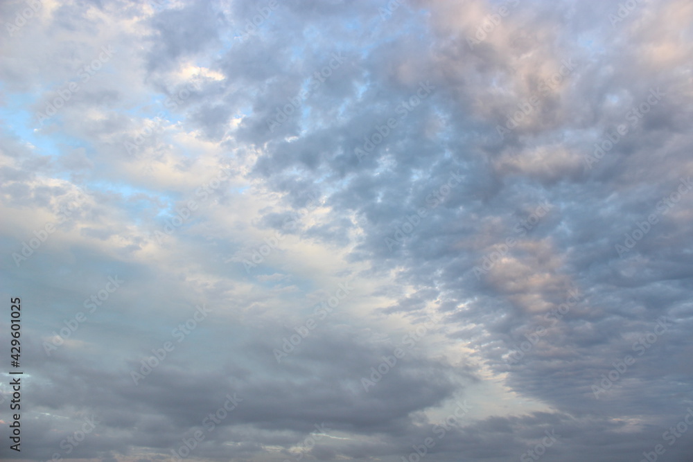 Obraz premium clouds in the sky.