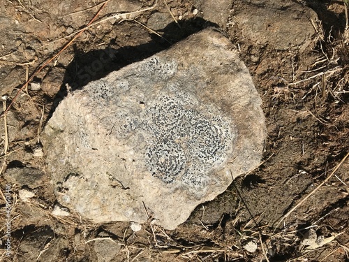 stone in the ground