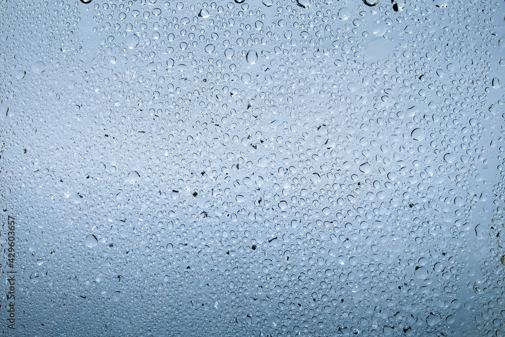 Water droplets and raindrops on clear glass Water droplets and raindrops on clear glass