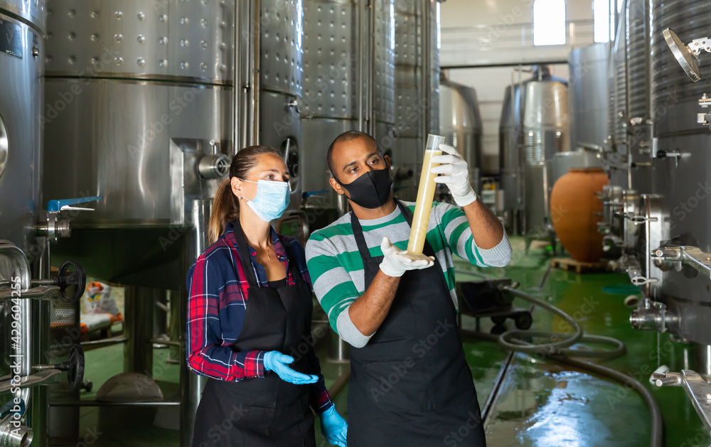 Fototapeta premium Man and woman in protective masks check the quality of white wine at the winery