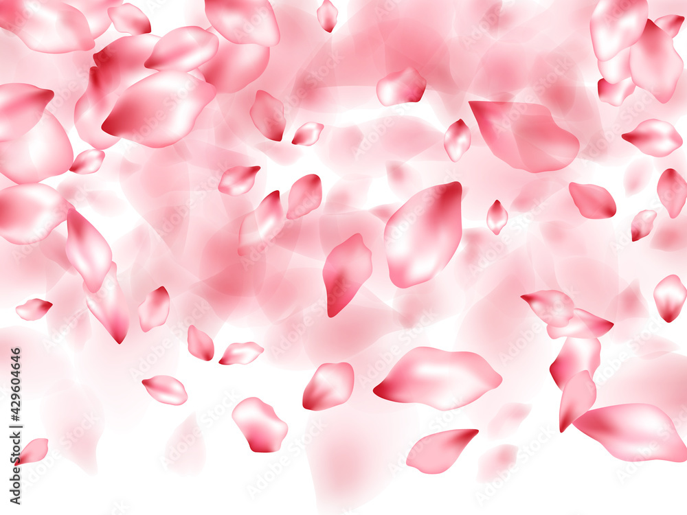Pink sakura flower flying petals isolated on white vector background. Pink sakura flower flying petals isolated on white vector background.