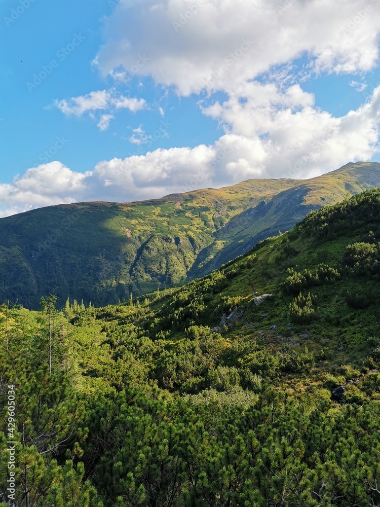 Obraz premium landscape with clouds