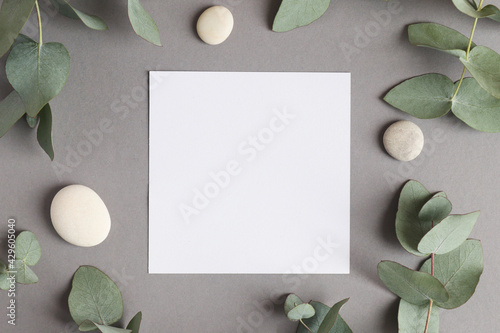 Floral natural mock up. Paper blank with eucalyptus leaves and stones on gray background. Template for design or invitation, copy space. Top view
