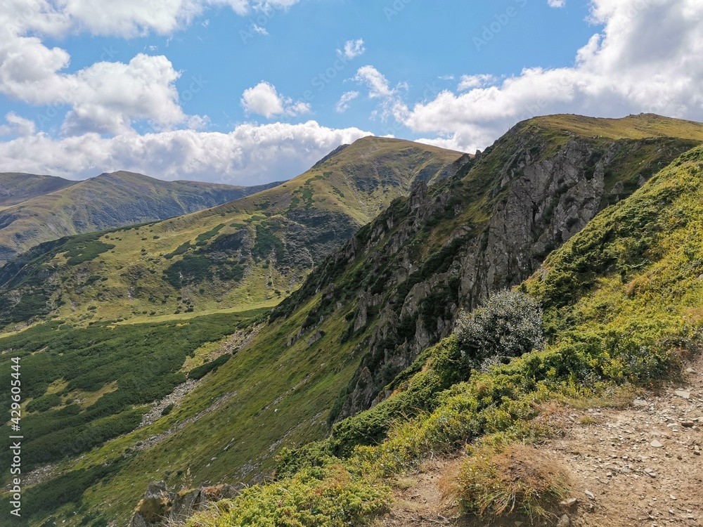 Naklejka premium landscape in summer