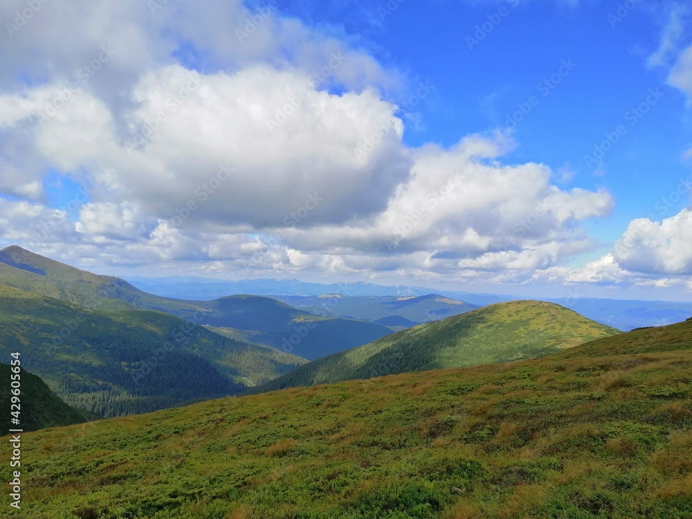 Naklejka premium landscape with blue sky