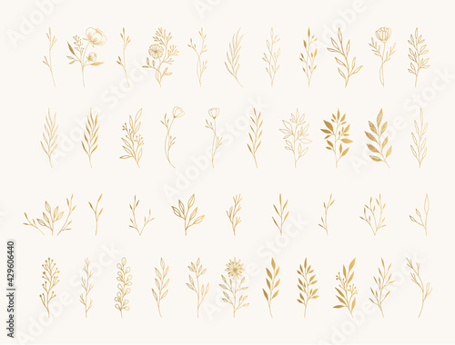 Collection of gold vector floral design elements. Decoration elements for invitation  wedding cards  valentines day  greeting cards. Isolated.