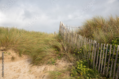 Fototapeta Naklejka Na Ścianę i Meble -  Barrier to retain sand from the dunes