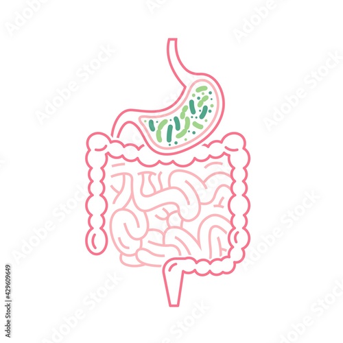 Lactobacillus Probiotics Icon. Normal gram-positive anaerobic microflora sign.