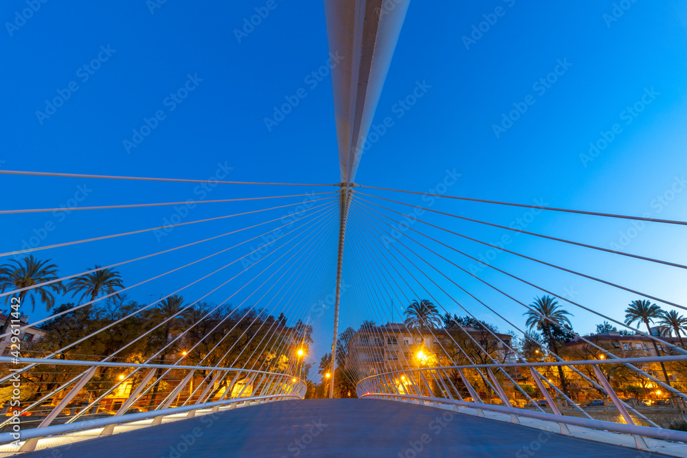 Obraz premium puentes de murcia