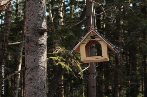 white bird feeder in the forest © YulianaK