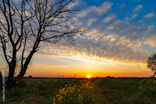 atardecer Vivonne