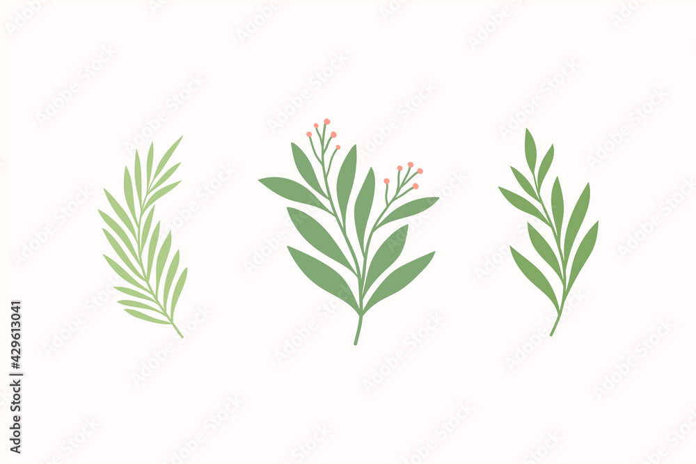 Set of botanical vector elements. Hand drawn illustration with leaves and plants. Floral ornaments for card, logo design, print fashion. Set of botanical vector elements. Hand drawn illustration with leaves and plants. Floral ornaments for card, logo design, print fashion.