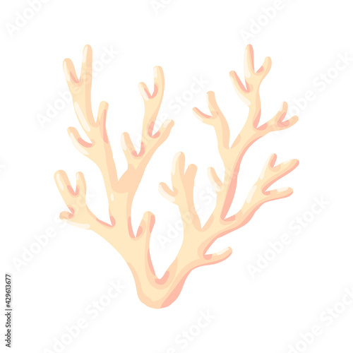 Coral, polyp vector underwater plant. Aquarium, ocean and undersea life isolated on white background. Aquarium fauna and ocean reef habitat in a simple cartoon style.